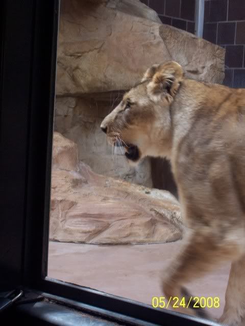 100_3286.jpg