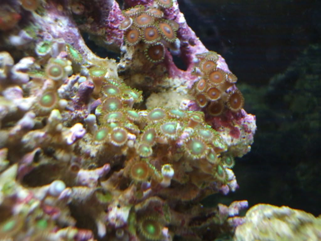 DSCF9083.jpg