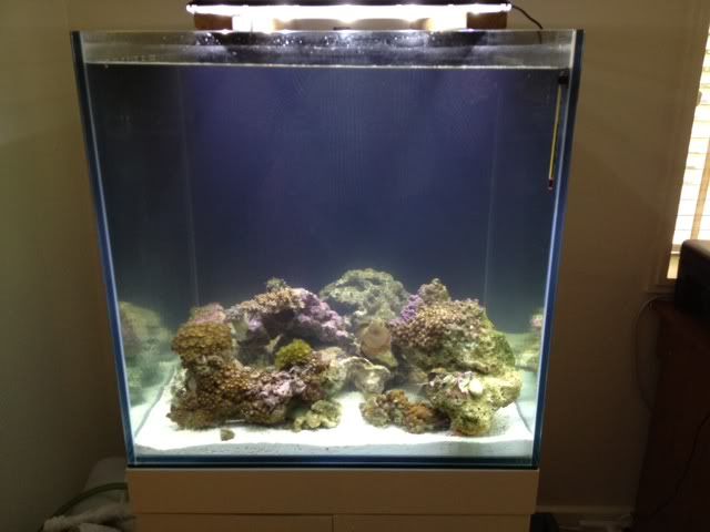 photo1-2.jpg