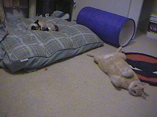 00_00049.jpg