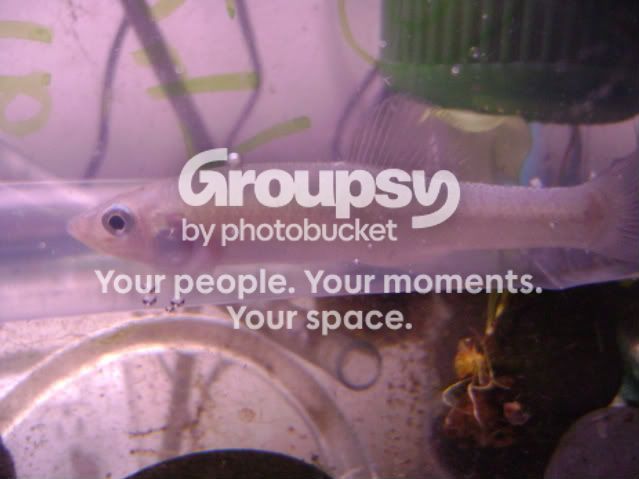 DSC01135.jpg