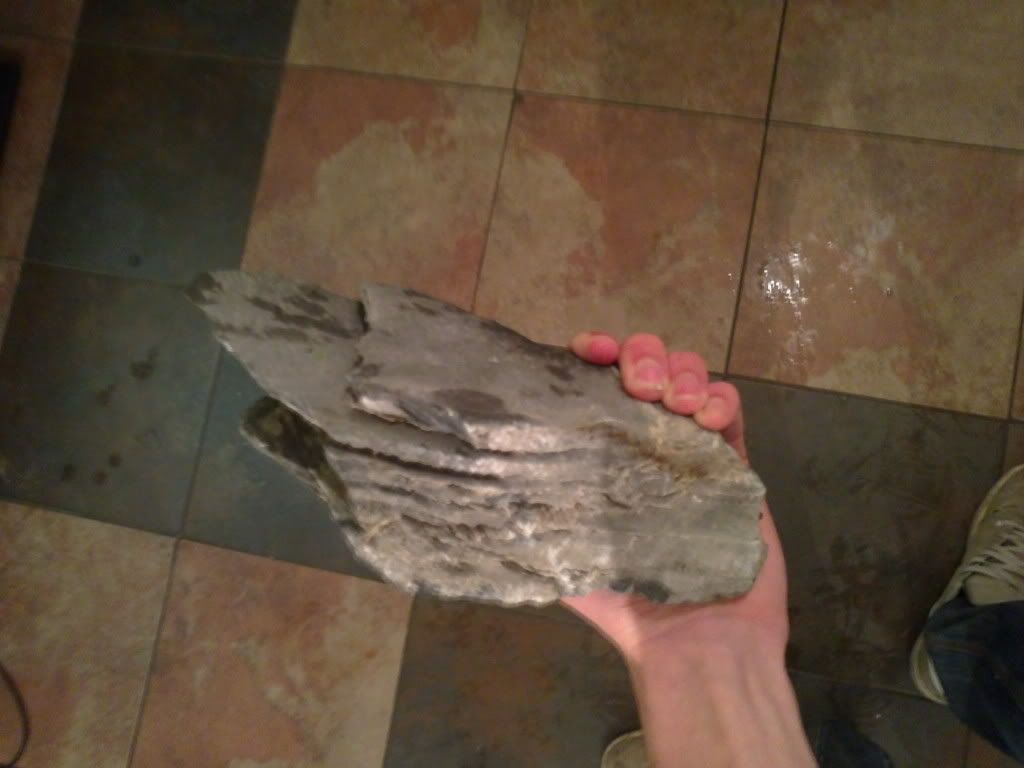 30112011225.jpg