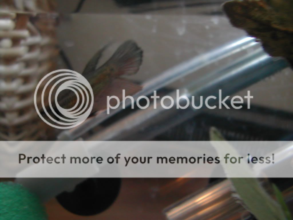 DSCN4270.jpg