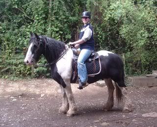 Tippy0304064.jpg
