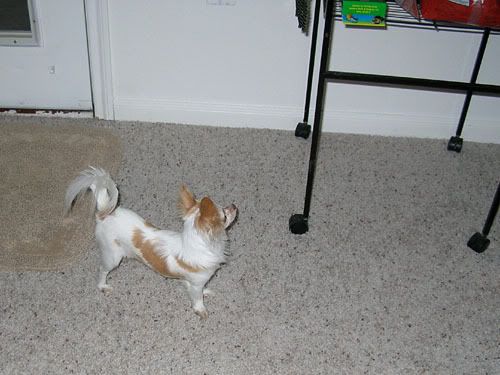 DSCN4826.jpg