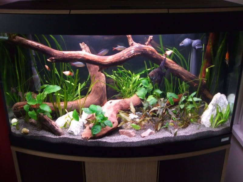 DSCF2136.jpg