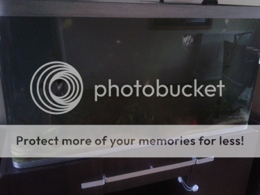 2012-04-12080535.jpg