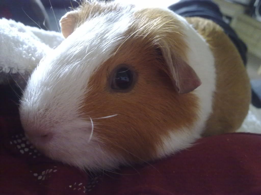 29072009050.jpg