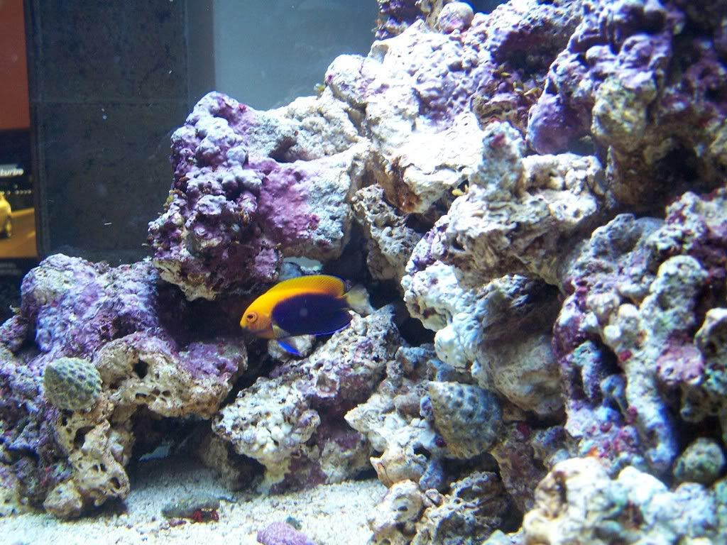 100_5035.jpg