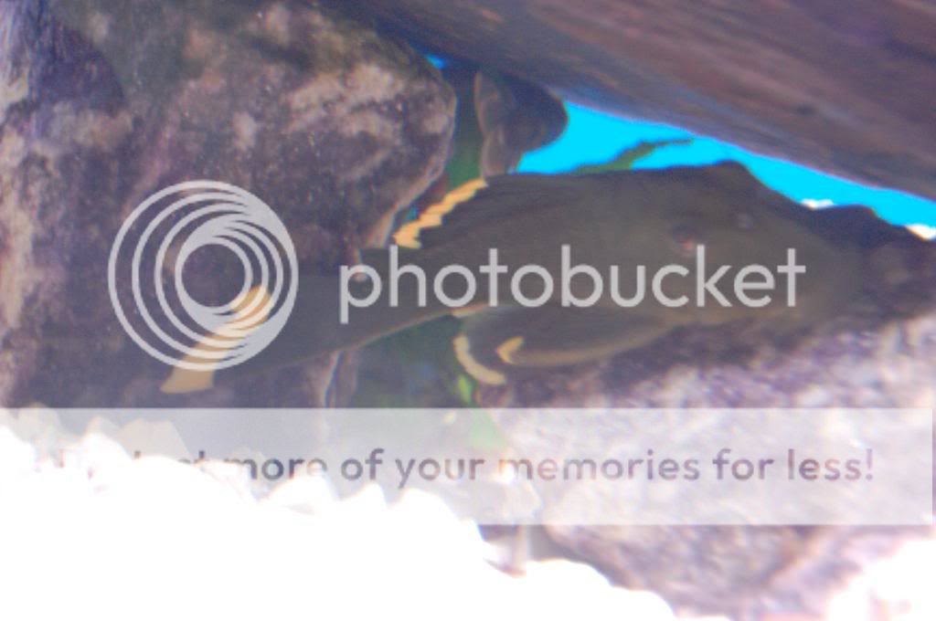 Nikonfirstday094.jpg