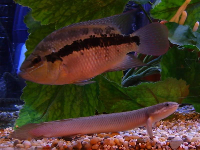 S5006555.jpg