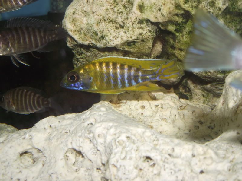 DSCF7184.jpg