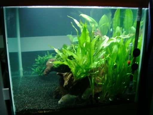 50g04.jpg
