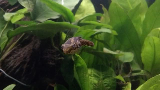 2012-07-31_18-53-57_663.jpg