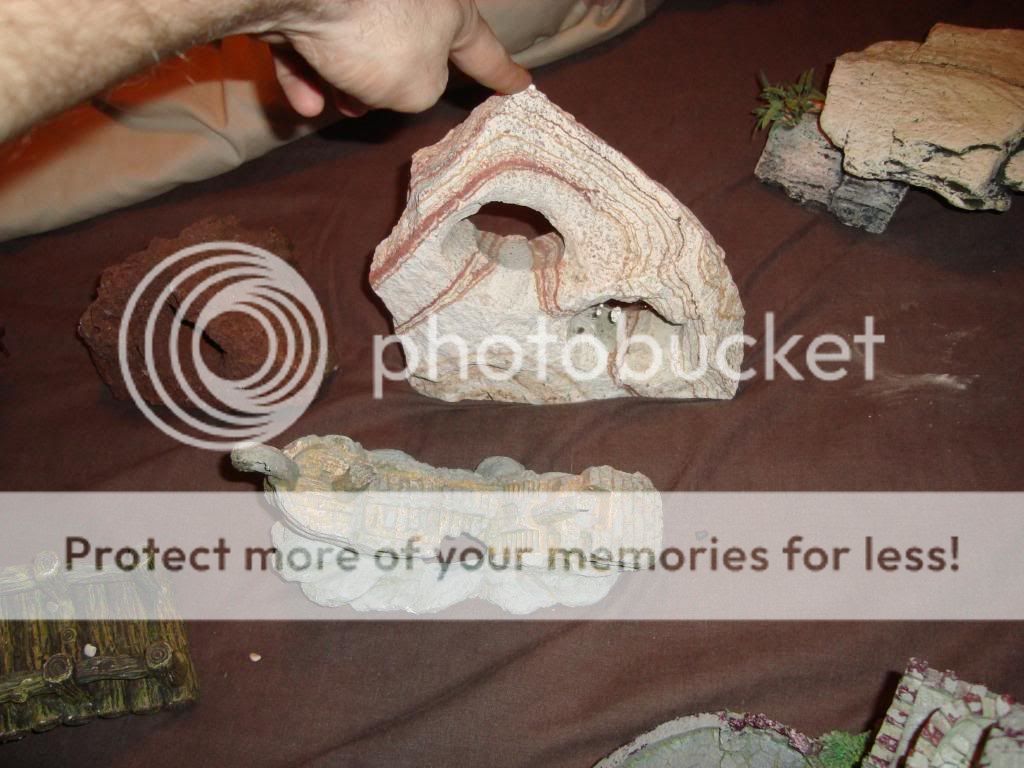 DSC00515.jpg
