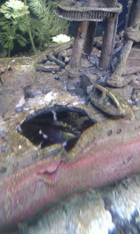 IMAG0670.jpg