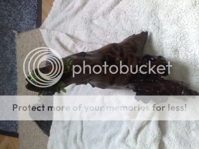 06062009260.jpg