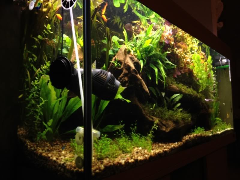 tank019.jpg