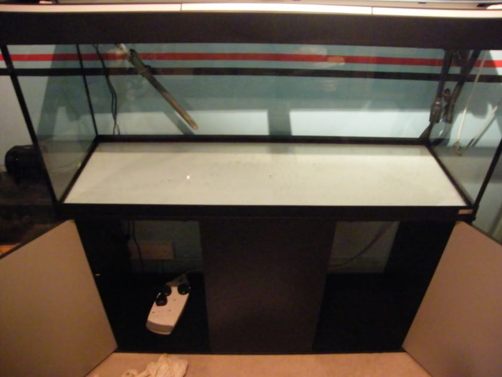 DSCF4562.jpg