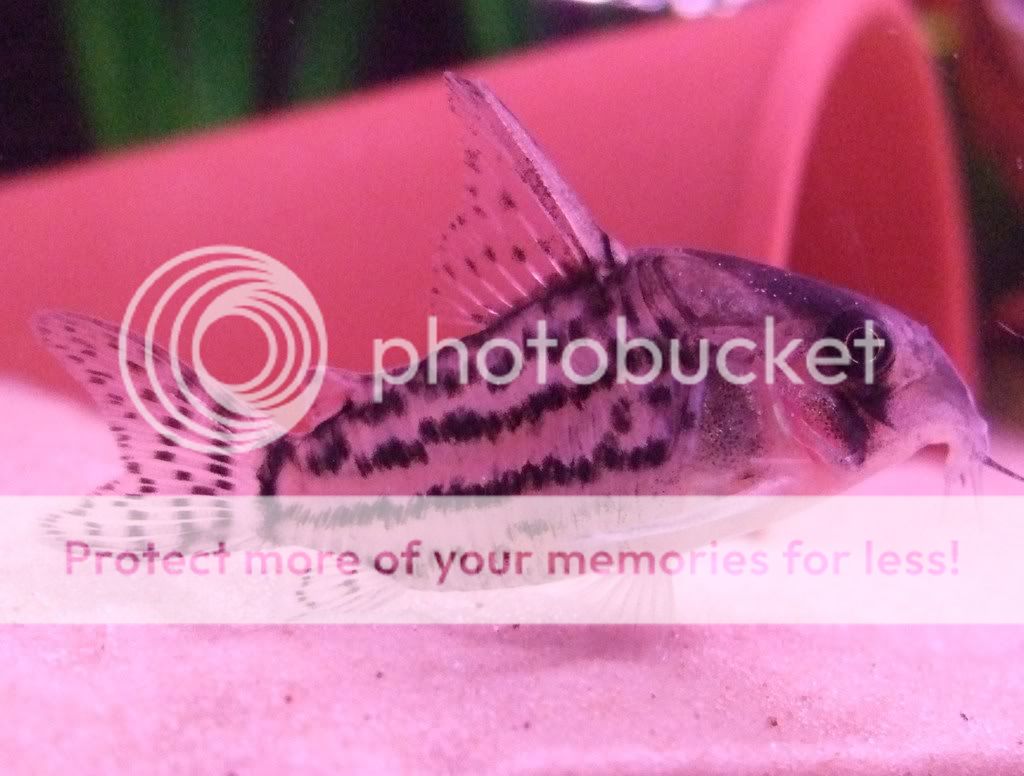 DSCF1043.jpg