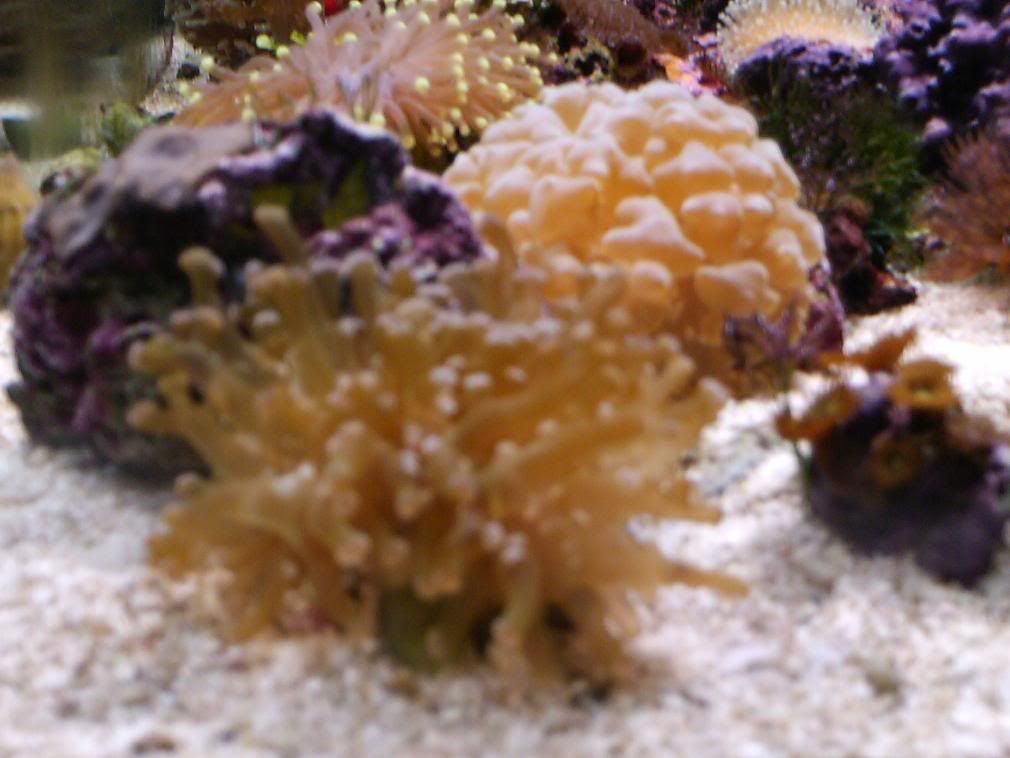 HPIM0663.jpg