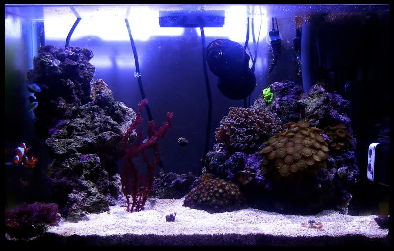 FTS.jpg