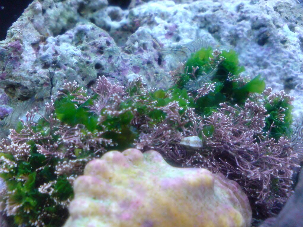 DSC00643.jpg