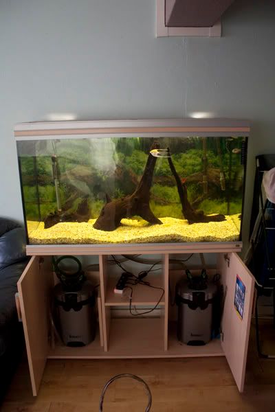 tank4.jpg