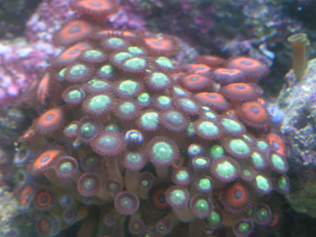 PICT1336.jpg