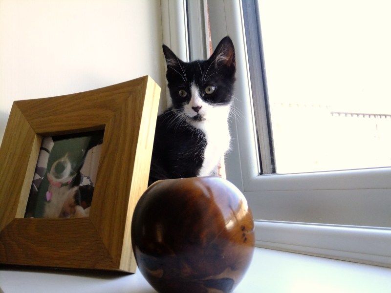 DSCF3678.jpg