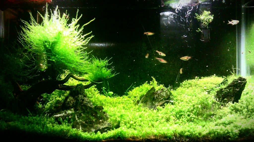 IMAG0556-1.jpg