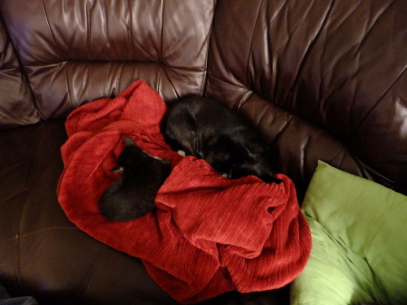 DSCF2946.jpg
