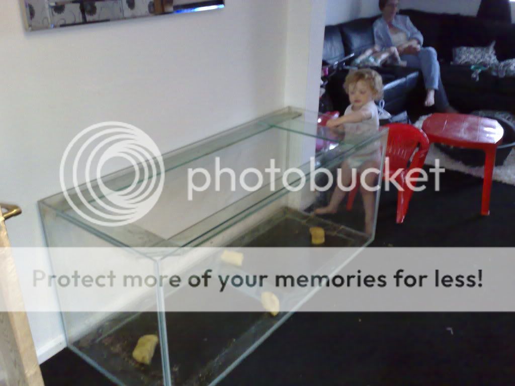 tank1.jpg