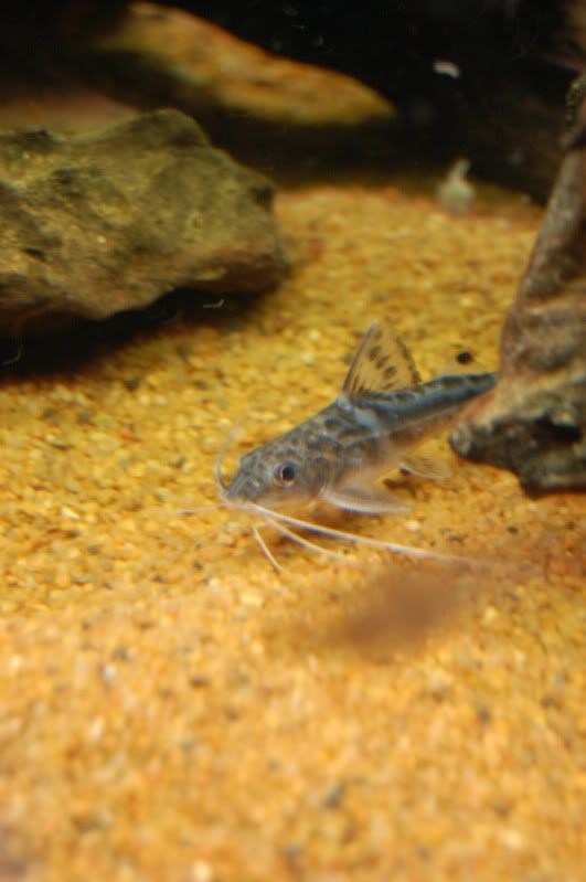DSC_0110.jpg