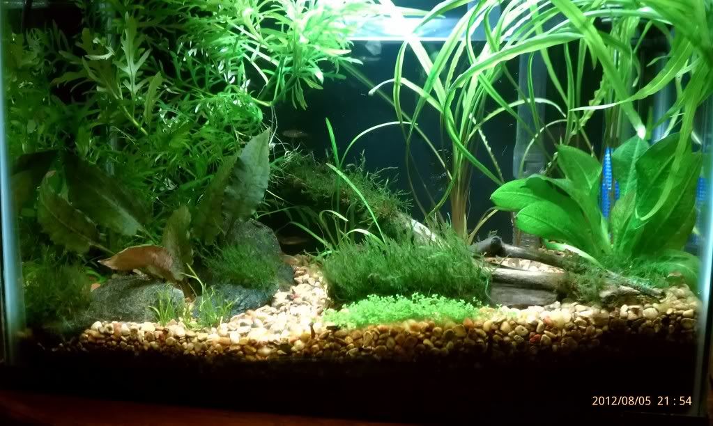 IMAG0566.jpg
