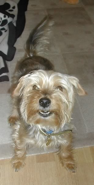 Millie005.jpg