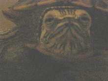 30524Benedictdarkpic10lightened-thumb.jpg