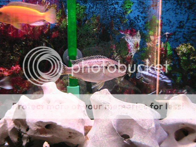 IMG_0244.jpg