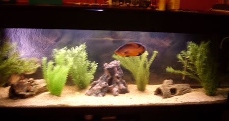010406tank.jpg