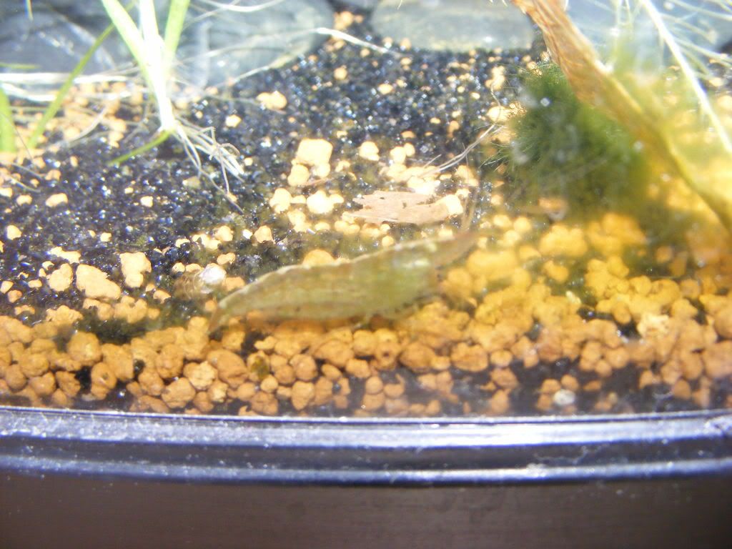 DSCF1109.jpg