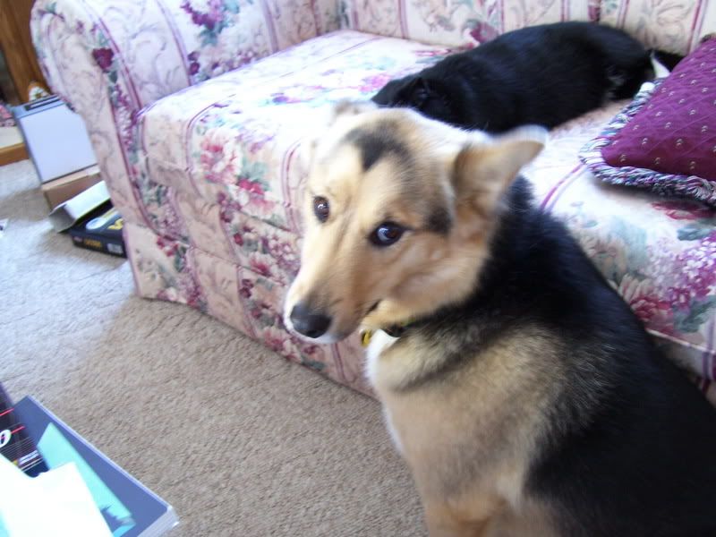 000_0060.jpg