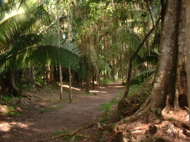 DSCF0084.jpg
