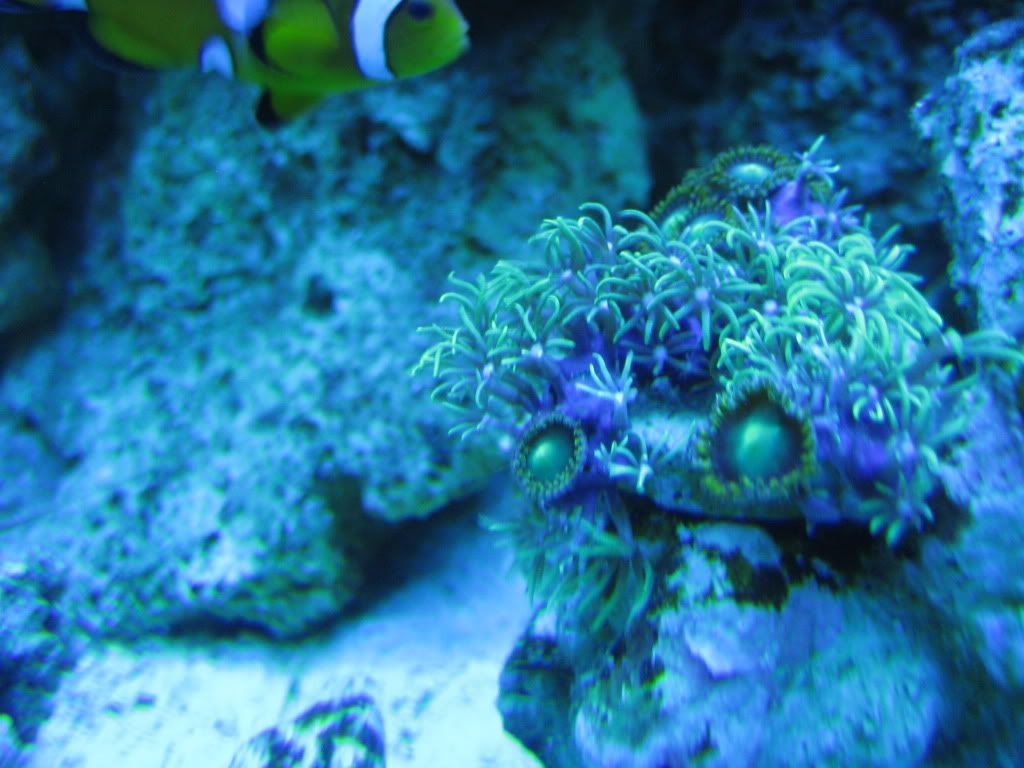IMG_2872.jpg