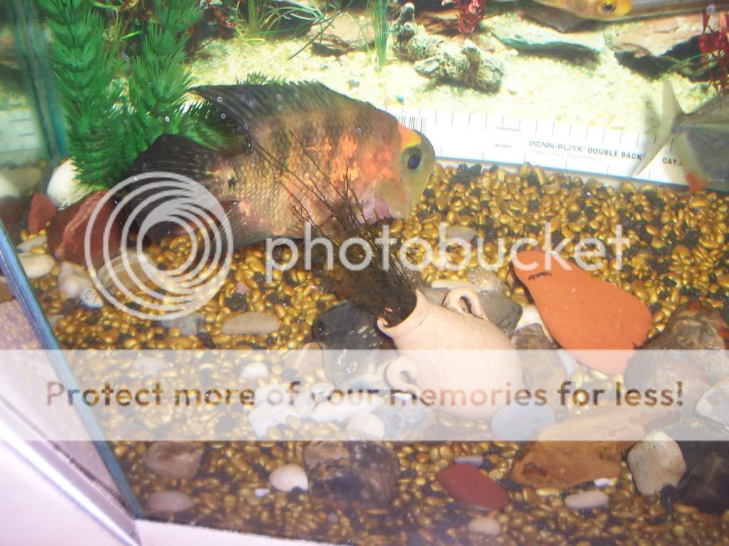 100_1729.jpg
