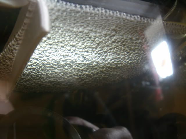 GEDC3828.jpg