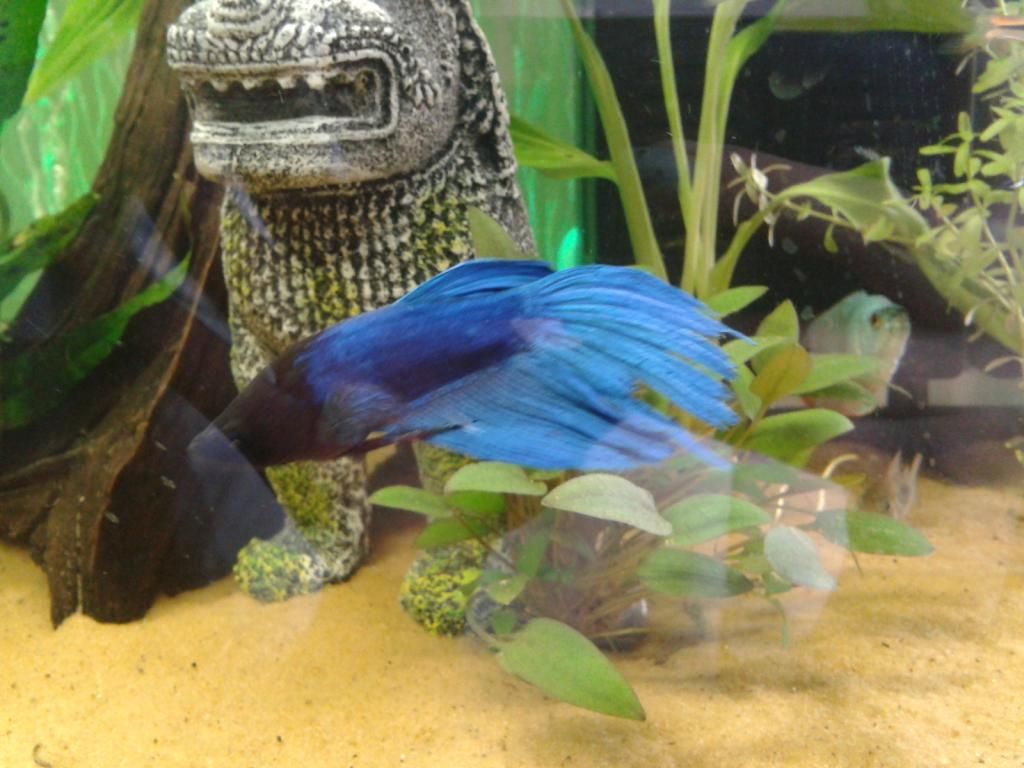 2012-10-02130248.jpg