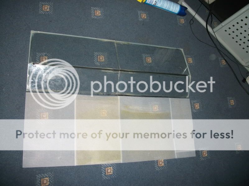 DSCF2949.jpg
