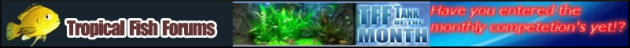 newbanner.png