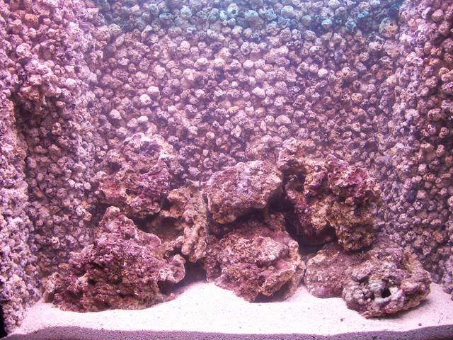 Picture004.jpg