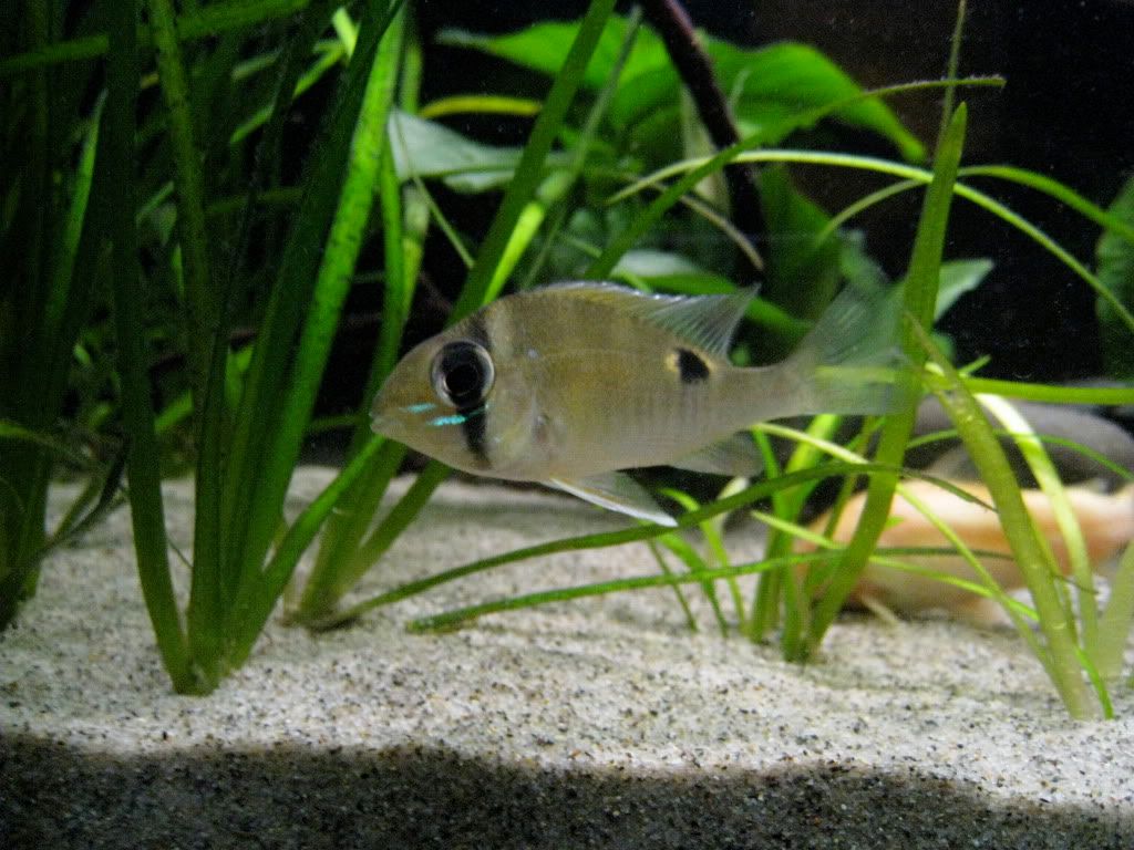 IMG_1251-1.jpg
